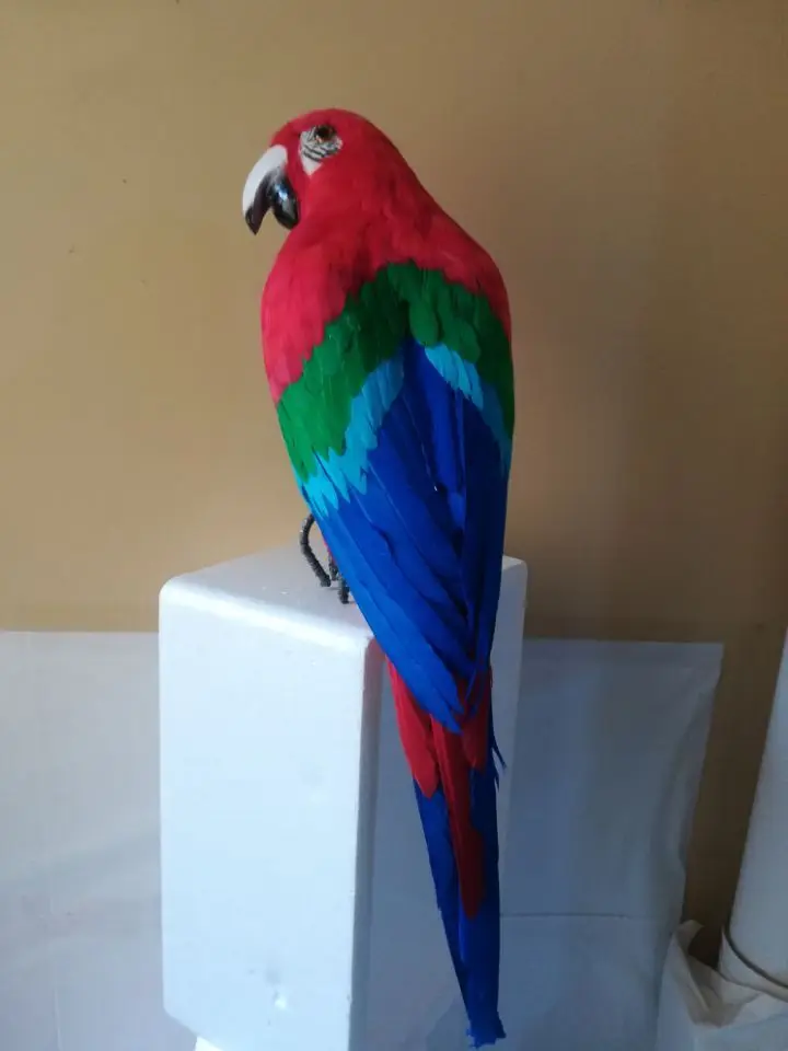 par lielu 60cm sarkans-zils spalvas papagailis,Roku darbs modeli,krāsains spalvas papagailis posmā prop,mājas, dārza dekorēšanai rotaļlieta w0758