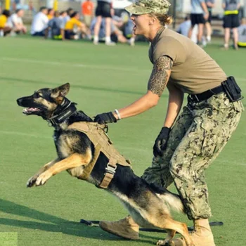 Pet suņu piegādēm, regulējams taktiskā veste mācību jostas, militārās patruļas suni komplekts ar rokturi